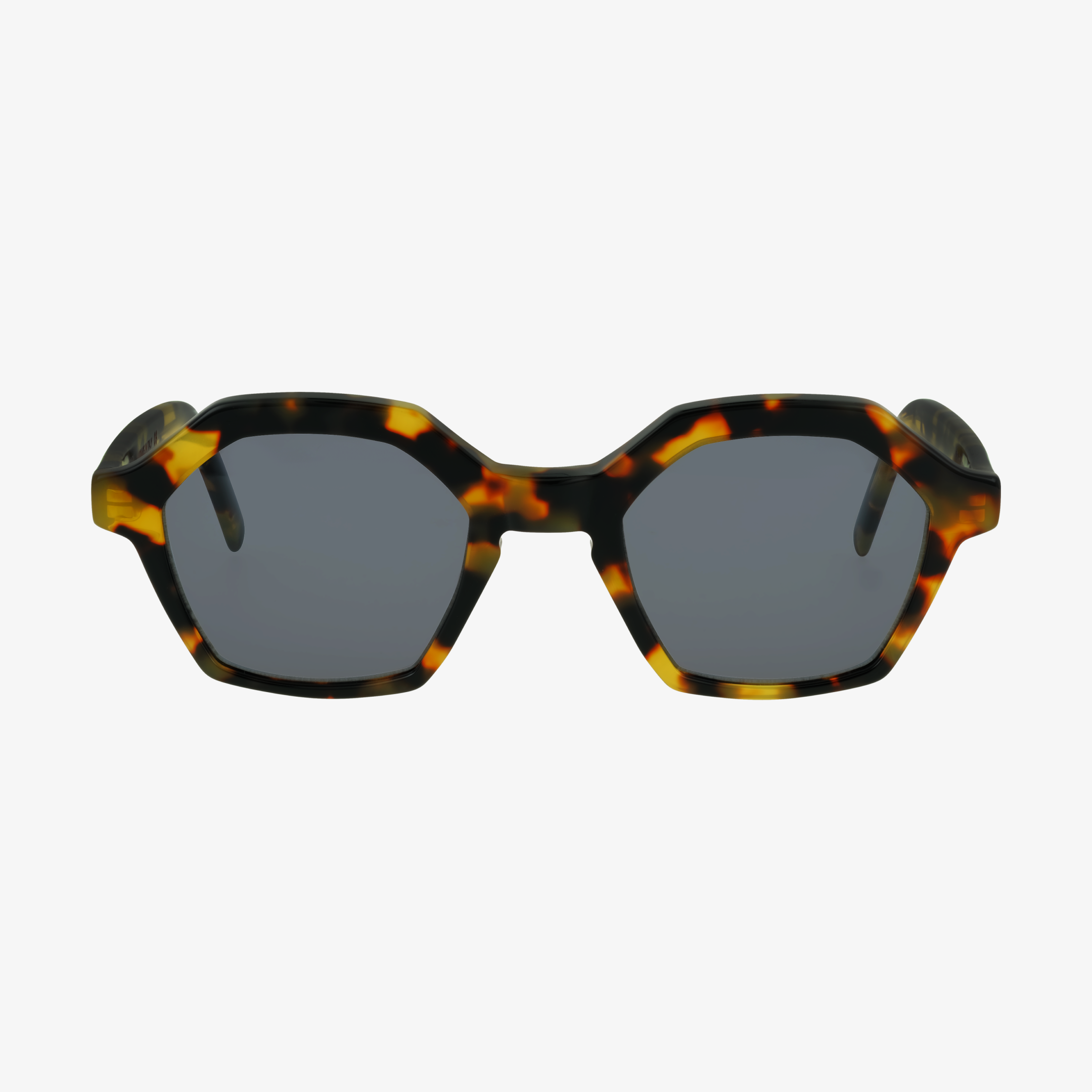Caio Tortoise