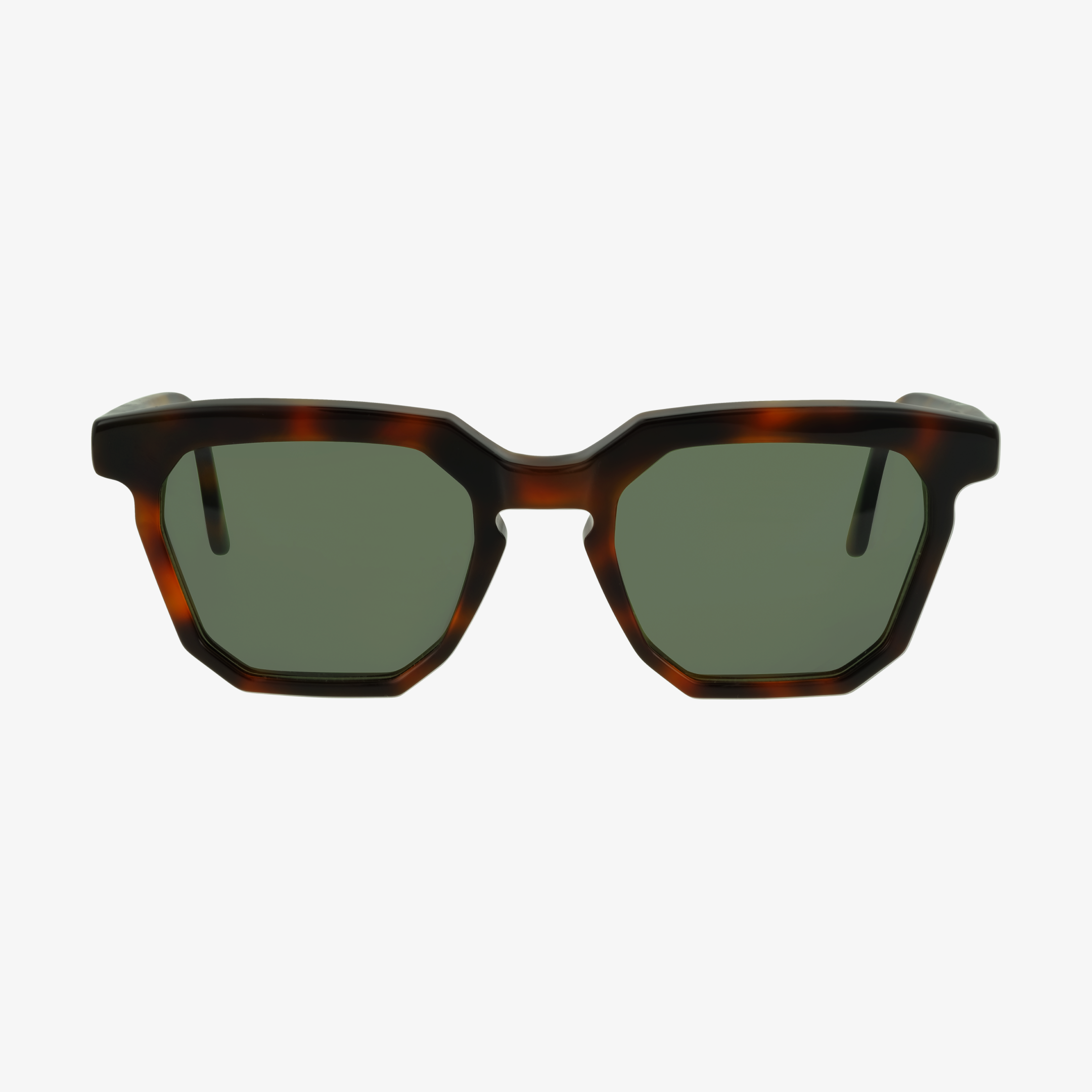 Duccio Tortoise