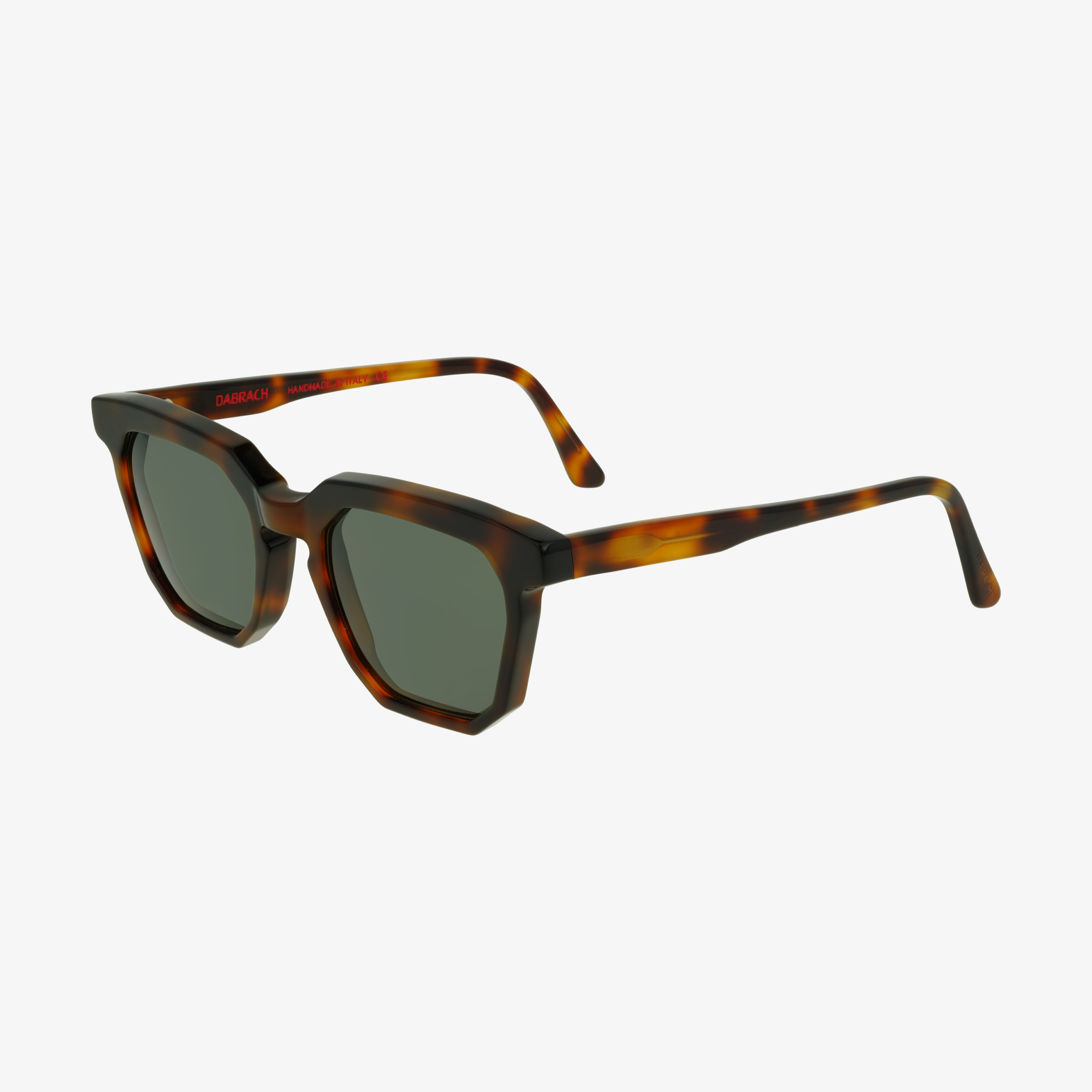 Duccio Tortoise