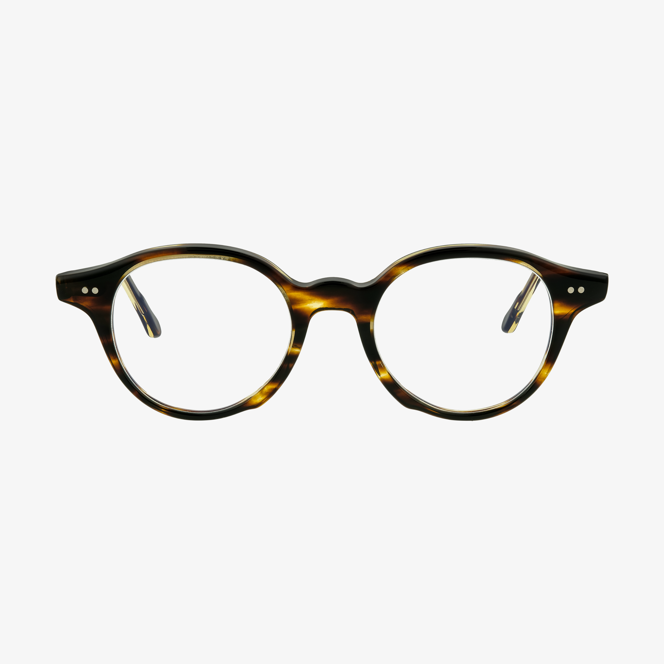 DFL6 Tortoise Light