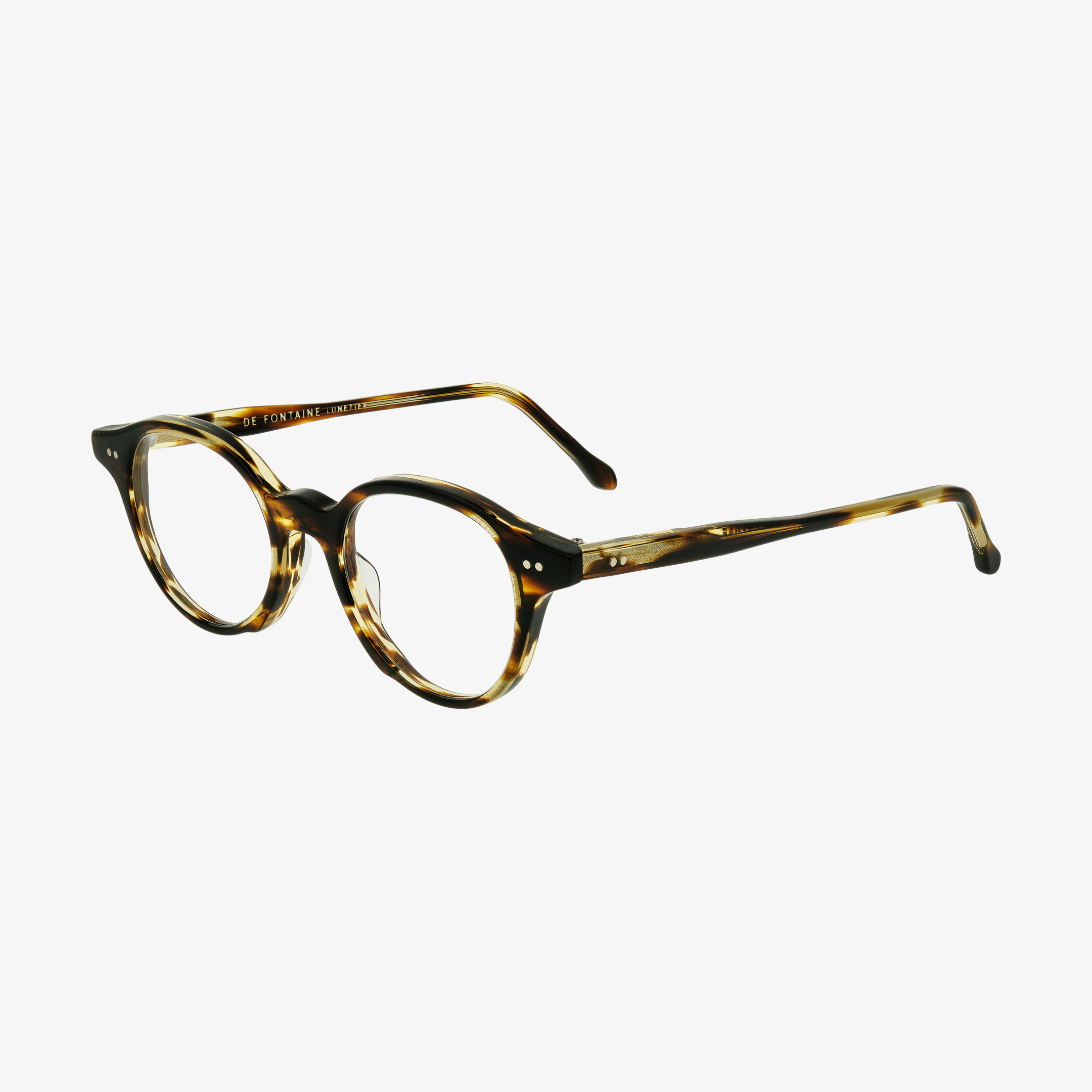 DFL6 Tortoise Light