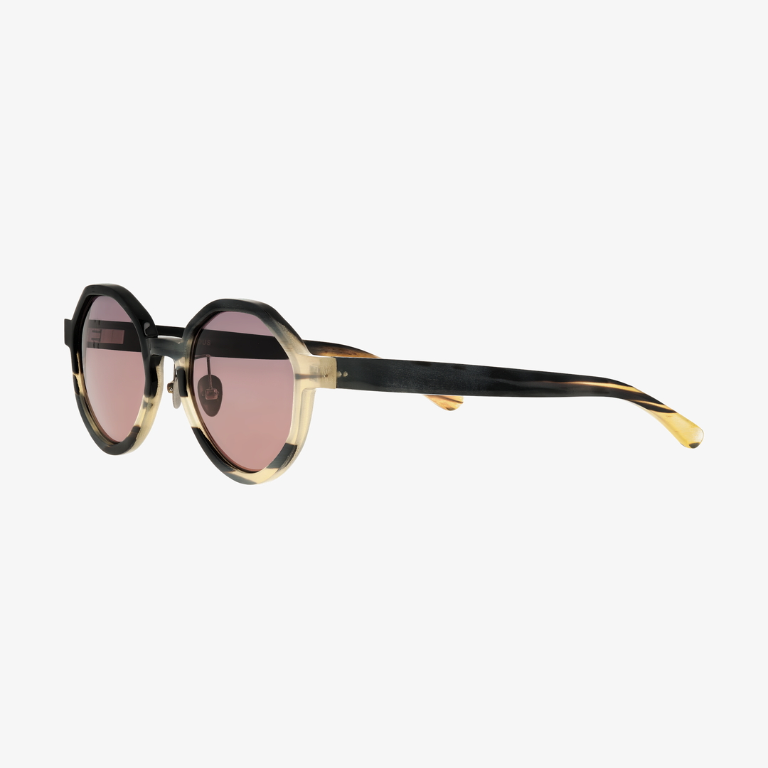 Explorer HORN Sun Havana Gray