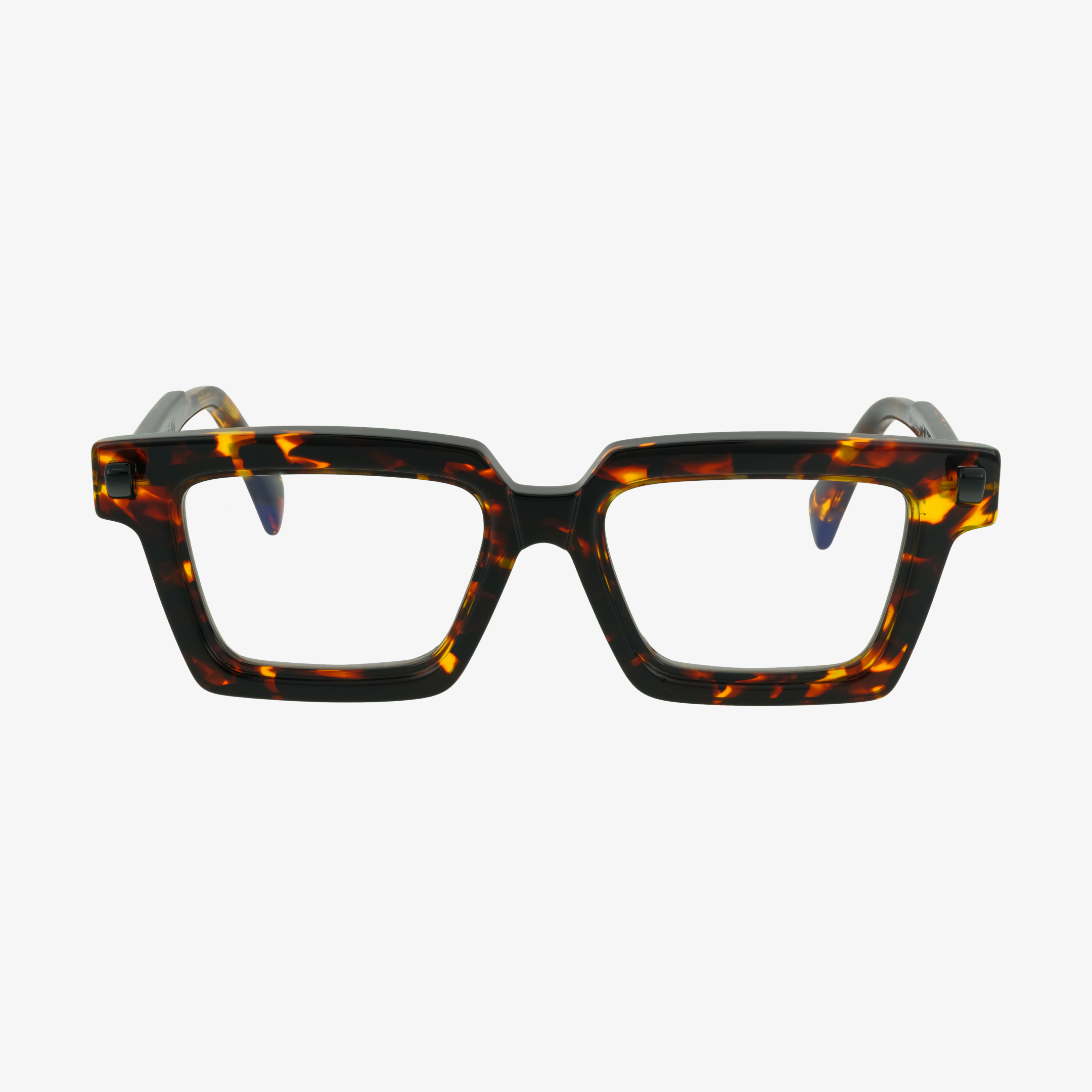Q2 Tortoise